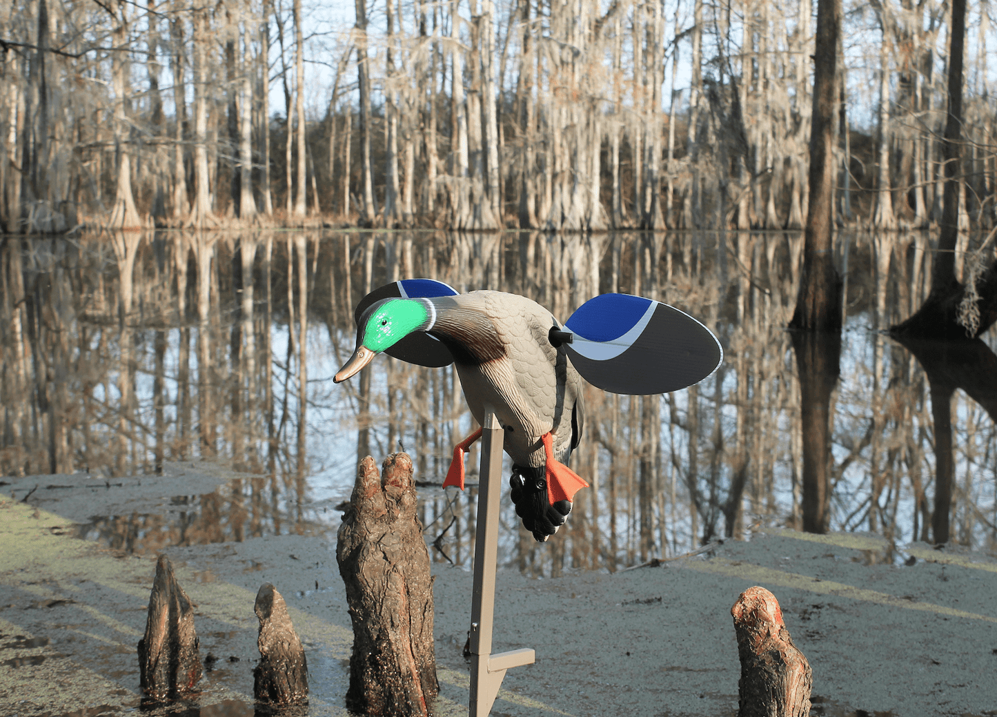 Mojo Baby Drake Decoy, Waterfowl Decoy