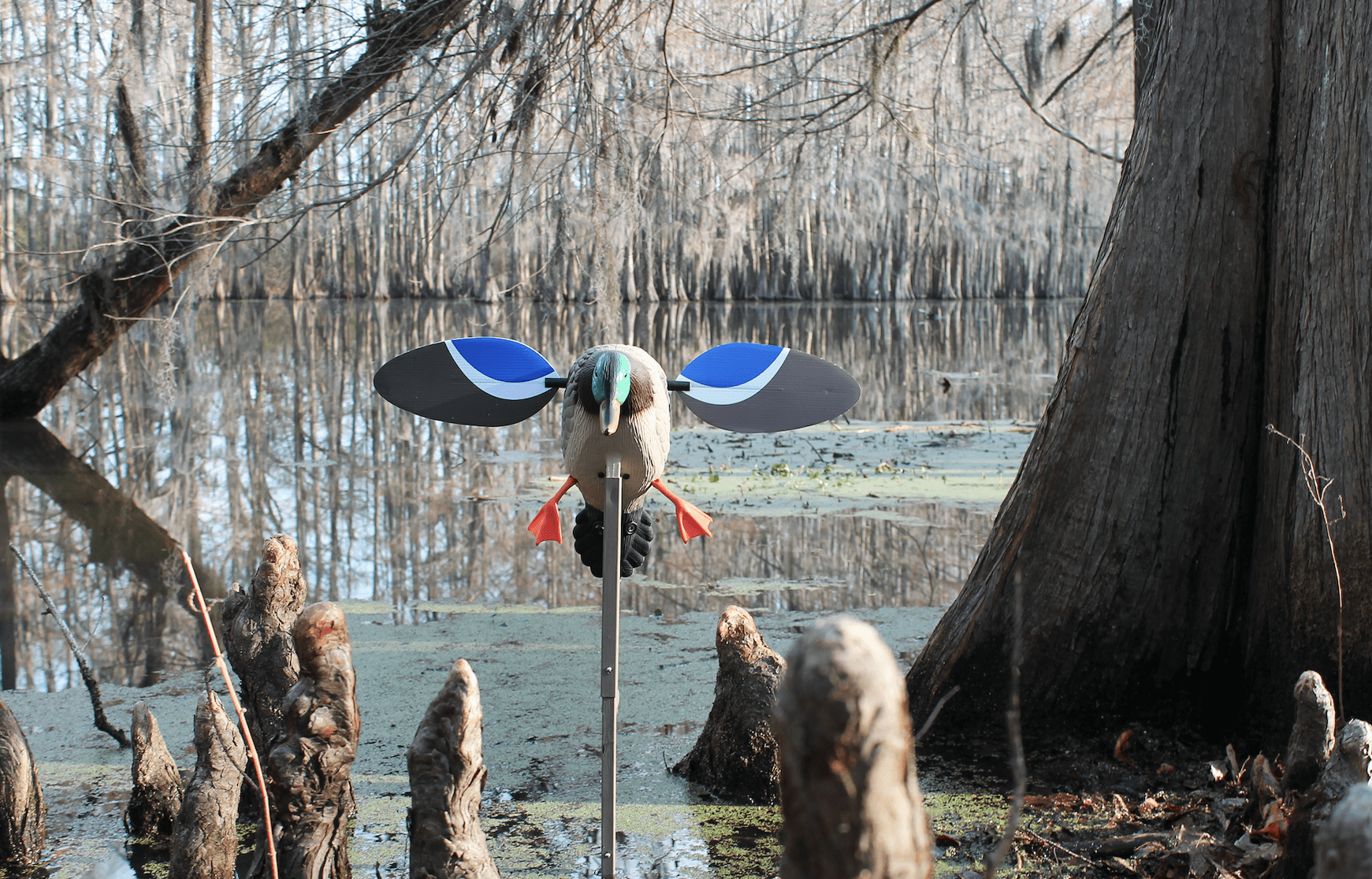 Mojo Baby Drake Decoy, Waterfowl Decoy