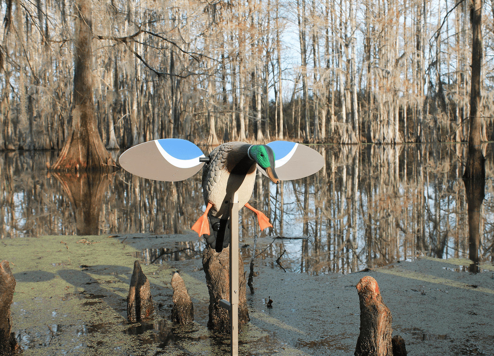 Mojo Baby Drake Decoy, Waterfowl Decoy