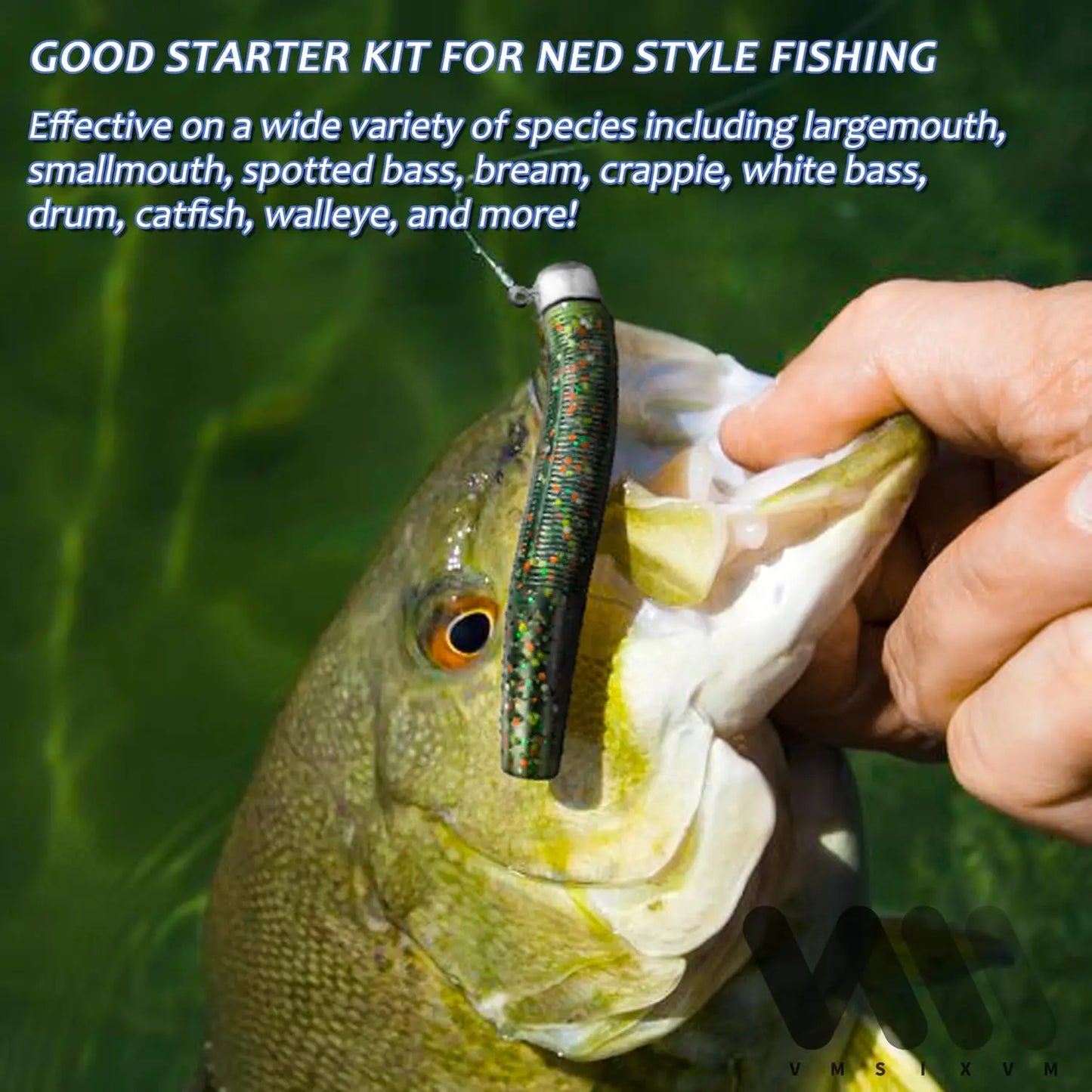 Ned Rig Jig Heads With Soft Plastic Worms Bass Kit
