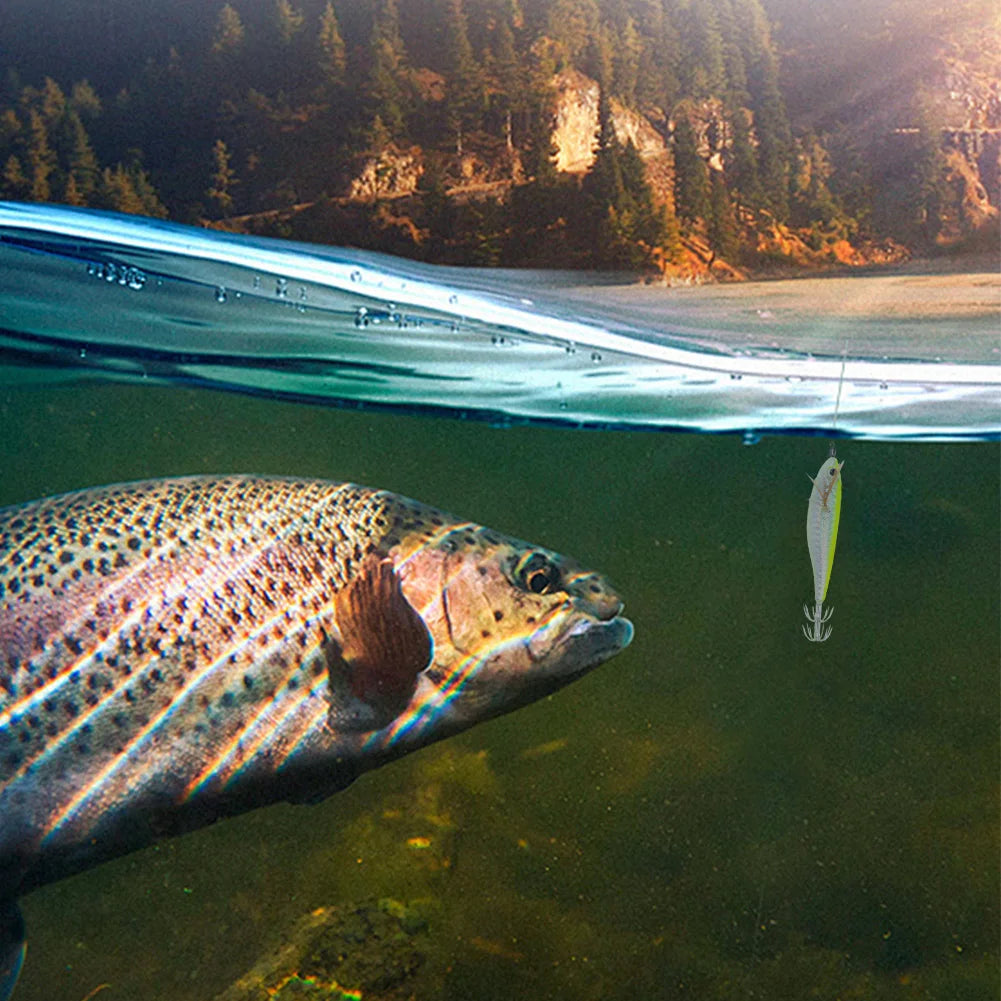 Cuttlefish Attracting Lure Double Hook Glow Octopus Bait Saltwater